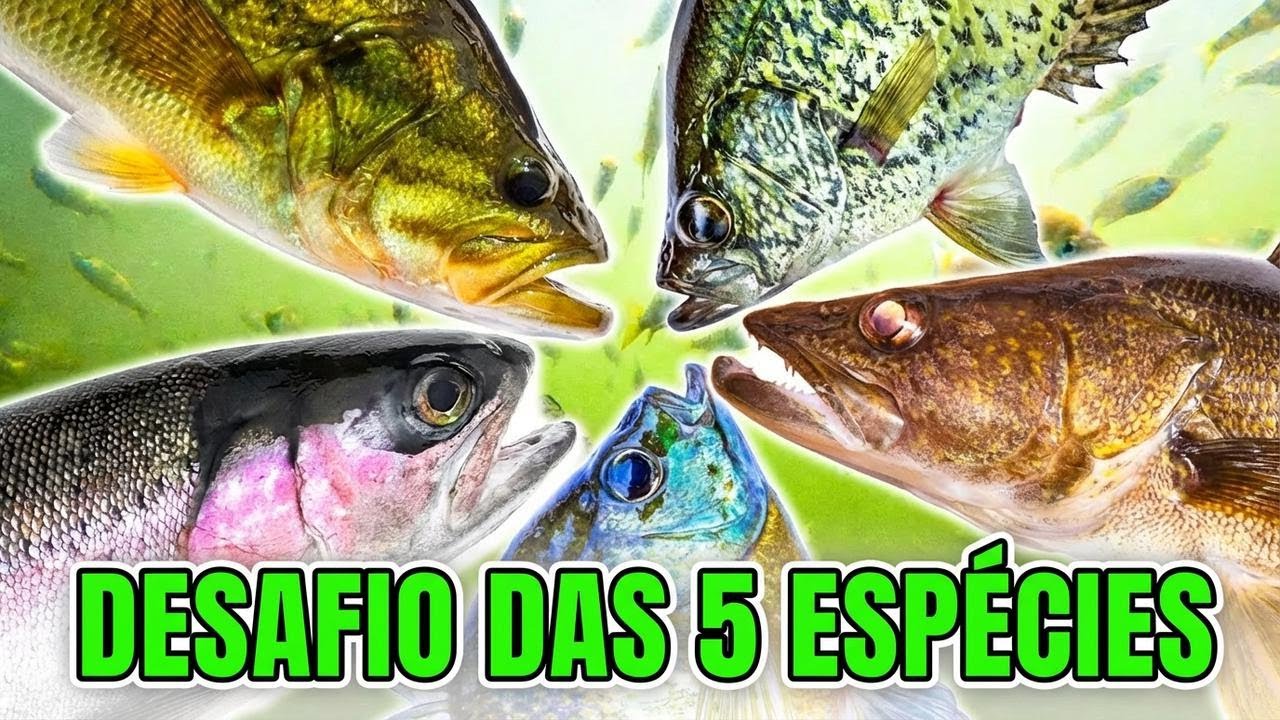 Pescando Algo Diferente: 5 Horas na Estrada Para um Dia de Pesca Inesquecível