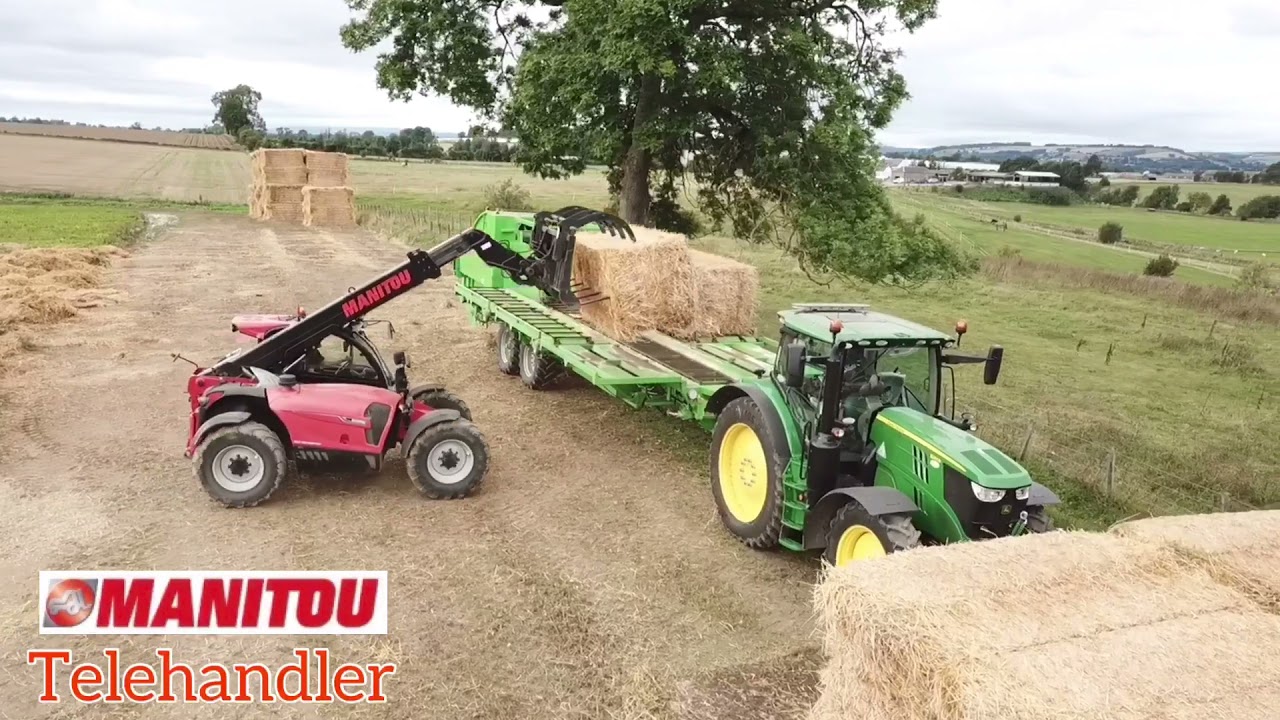 Keeping the carrots warm in Perthshire - strawing carrots down for winter,  September 2021