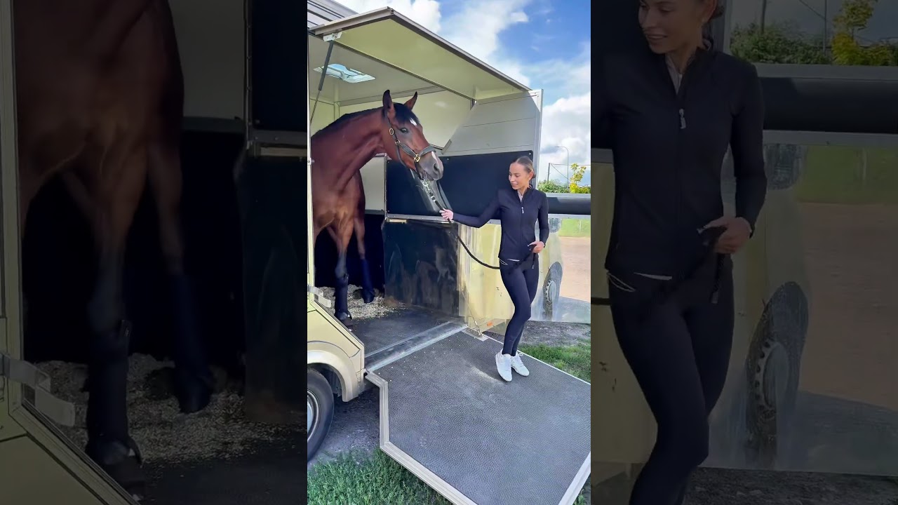 Czas na zawody!🏆 #konie #horse #jazdakonna #equestrian #zawody #zawodyjezdzieckie #ujezdzenie