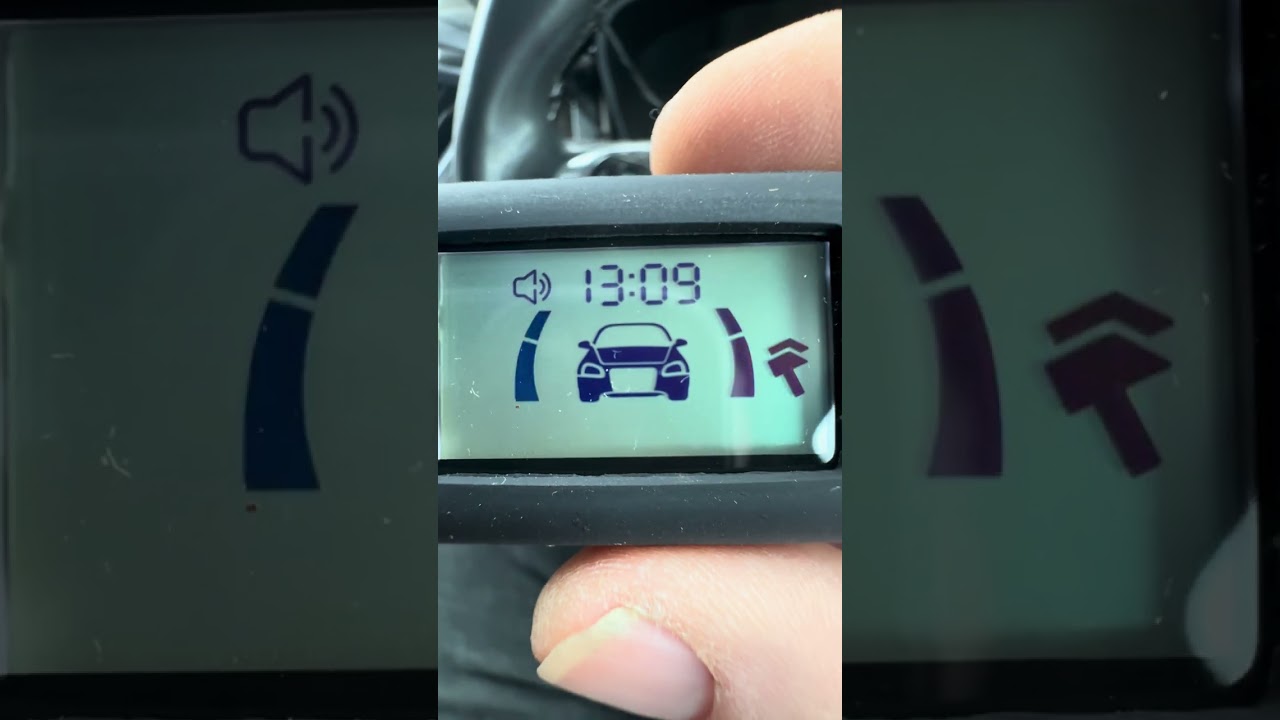 StarLine alarm pager