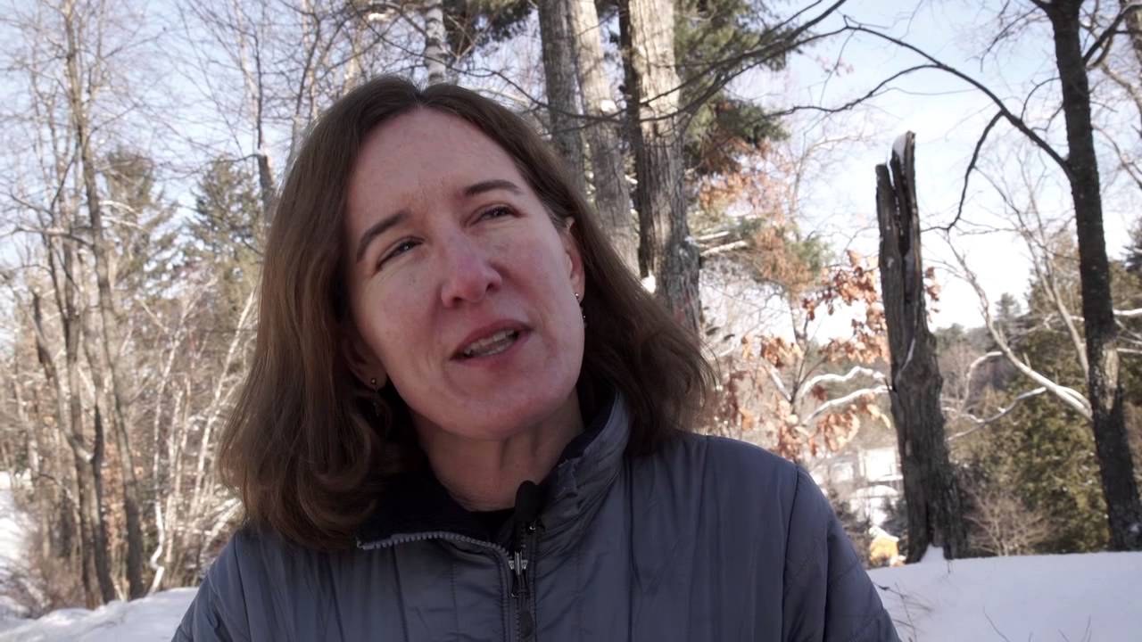 The Adirondack Mountain Village of Saranac Lake Remembers Its Curative Past