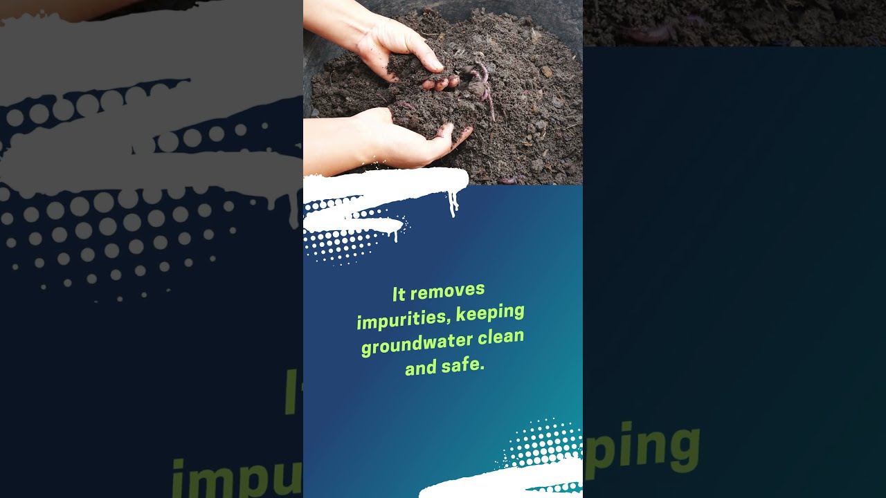 How Soil Naturally Filters Water 💧 #springscientific #farming #soilquality