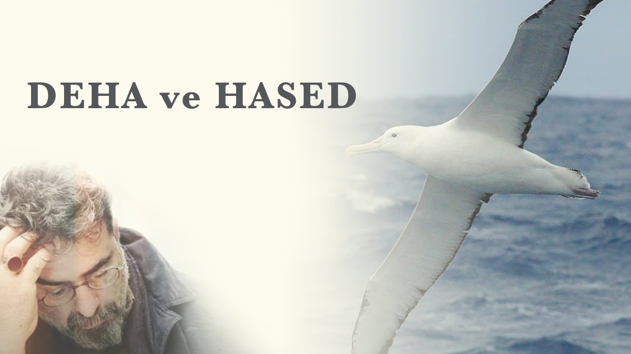 DEHA ve HASED: albatros