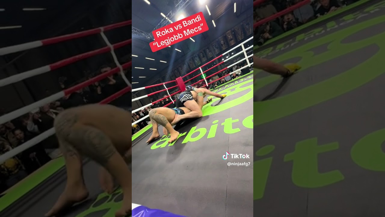 Róka vs Sándor Bandi