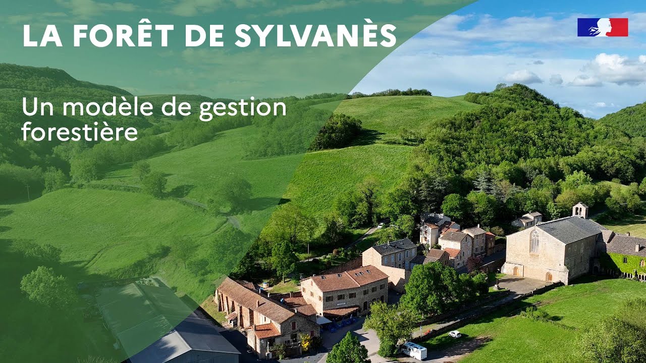 La forêt de Sylvanès, un modèle de gestion forestière