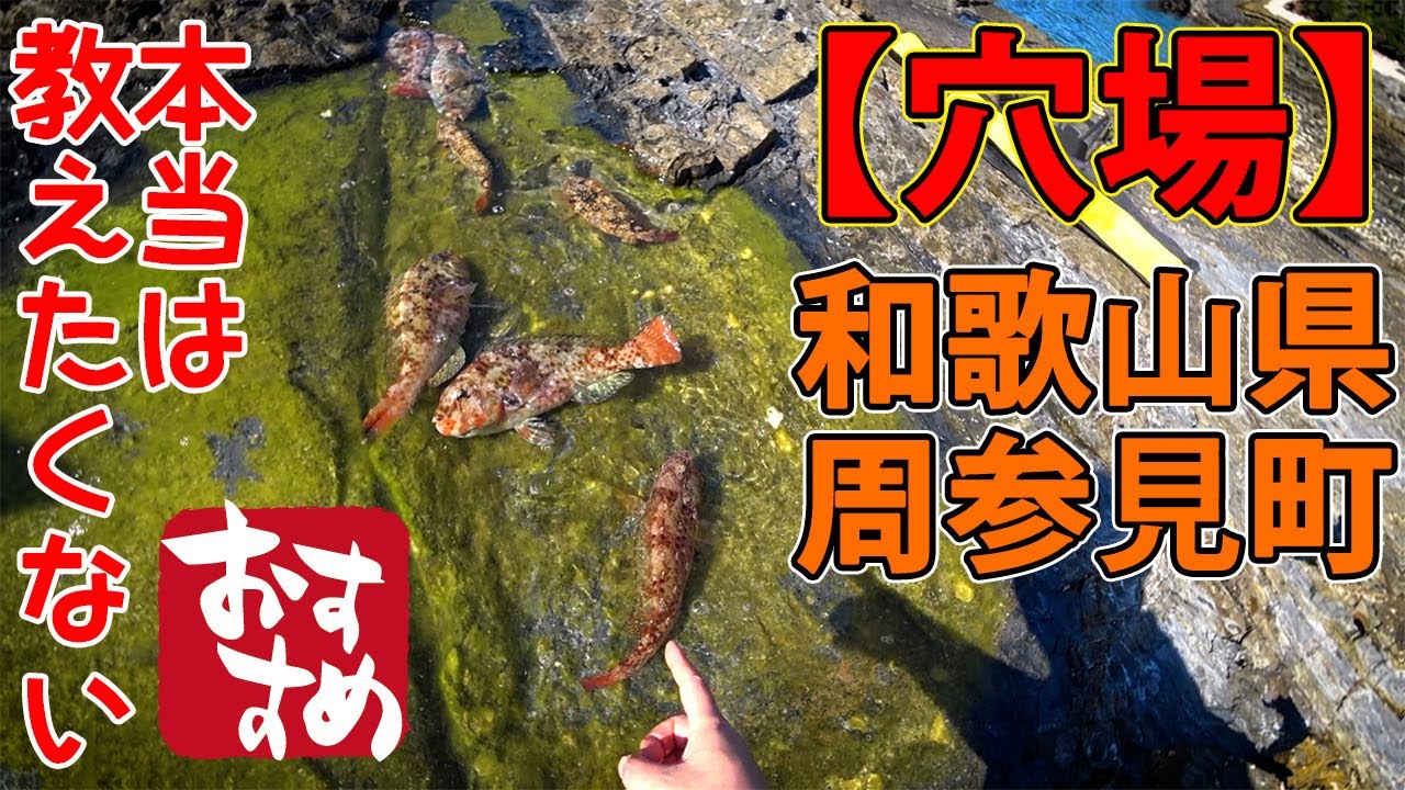 ②【釣り場紹介】和歌山県 周参見町 ブダイの巣 餌は現地調達 左側の穴場おすすめポイント