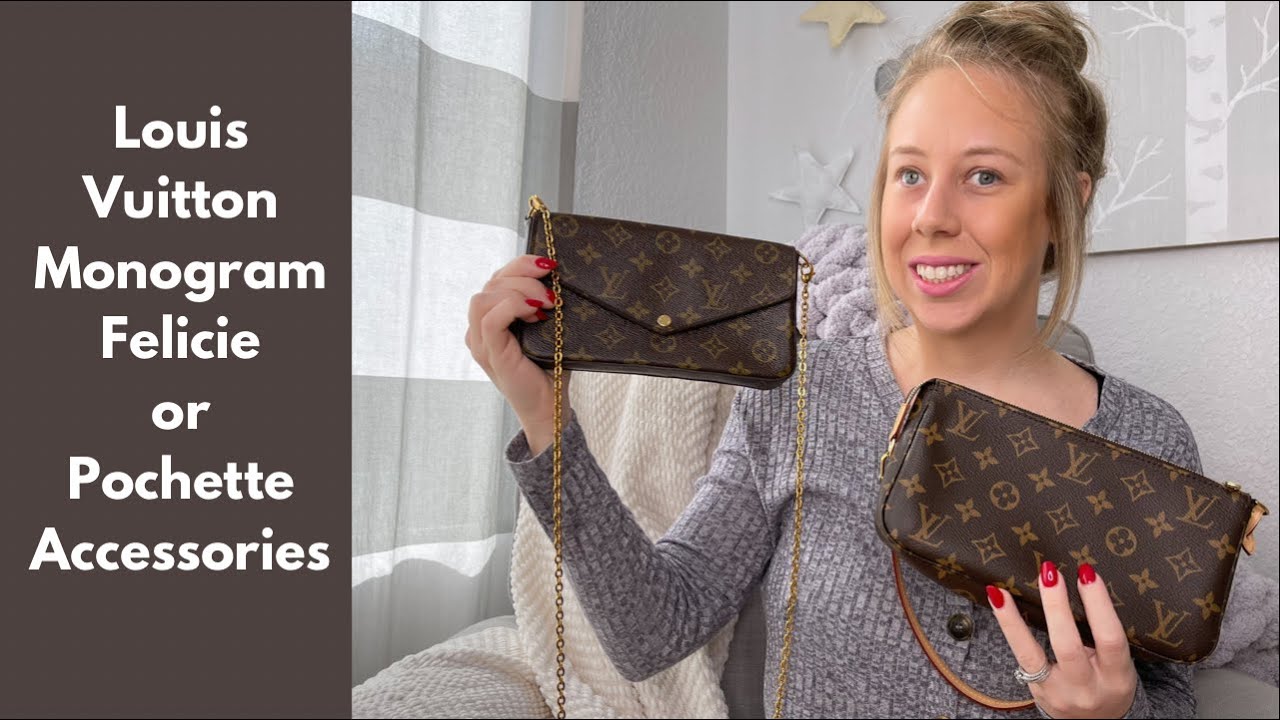 PICKING ONLY ONE | Louis Vuitton Pochette Felicie Vs. Pochette Accessories