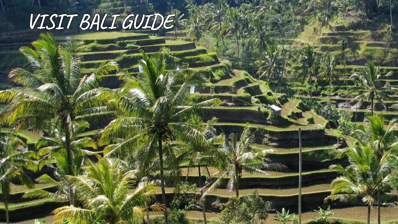 Bali (Indonesia) Travel Guide | Complete 7-Day Itinerary for you. #balitravel #travelindonesia