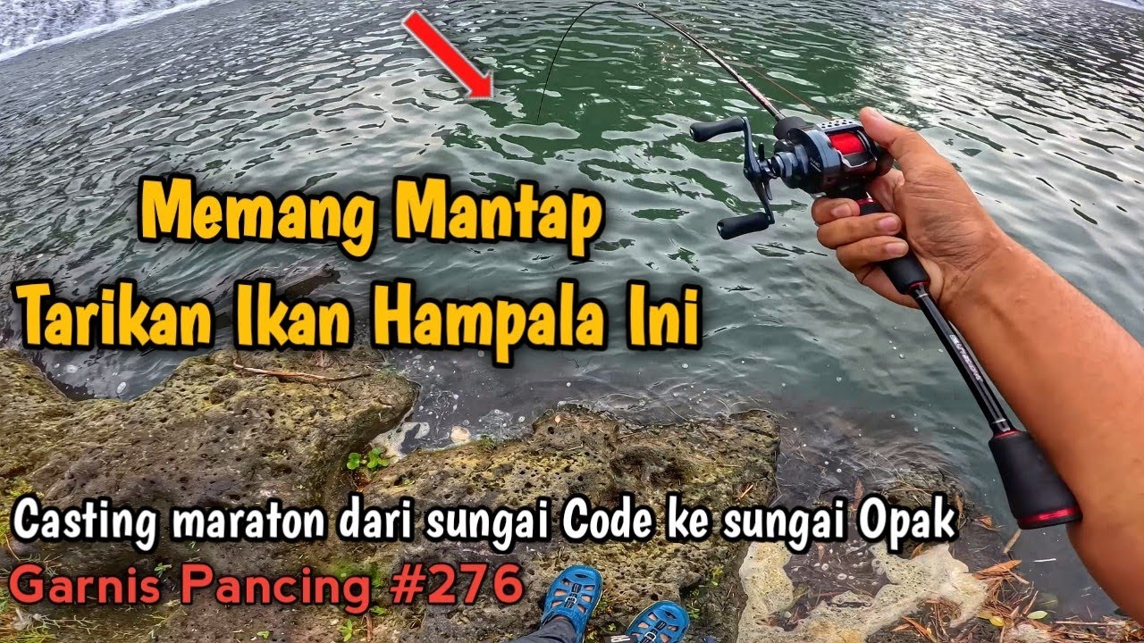 AHIRNYA TERTANGKAP🤩‼️HAMPALA PENGHUNI BAWAH DAM 💥Casting Hampala Sungai Code & Sungai Opak #276