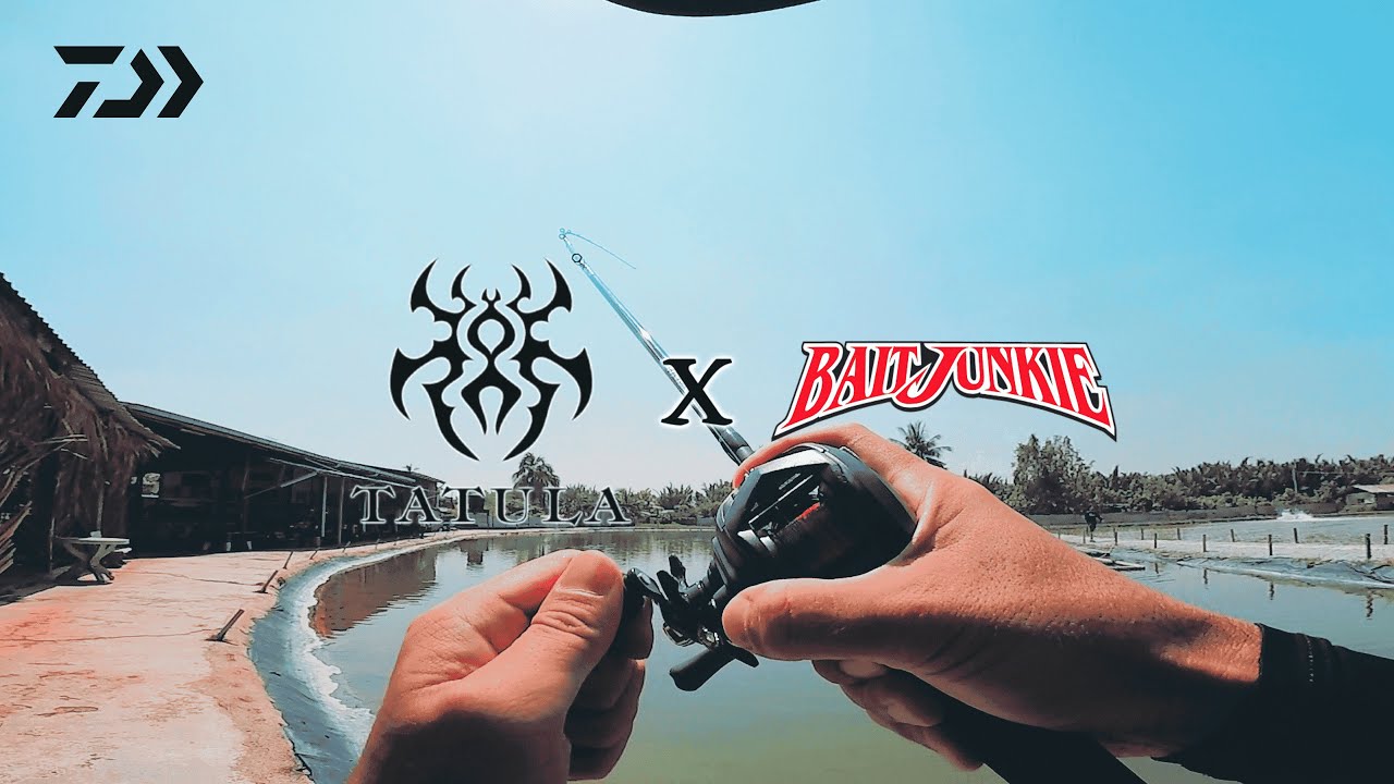 TATULA X BAIT JUNKIE || DAIWA