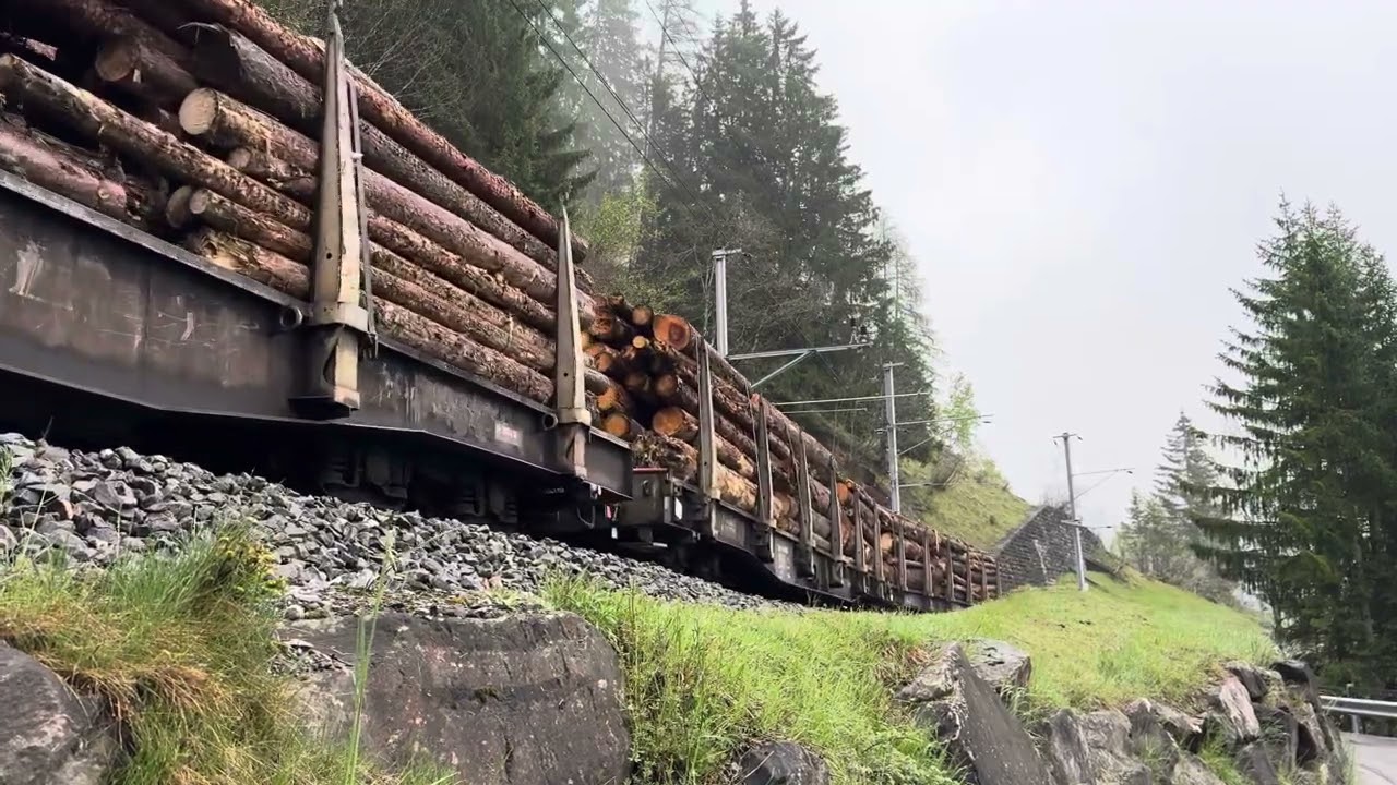 Rhätische Bahn, Holztransport, Langwies, 8.5.2025, 