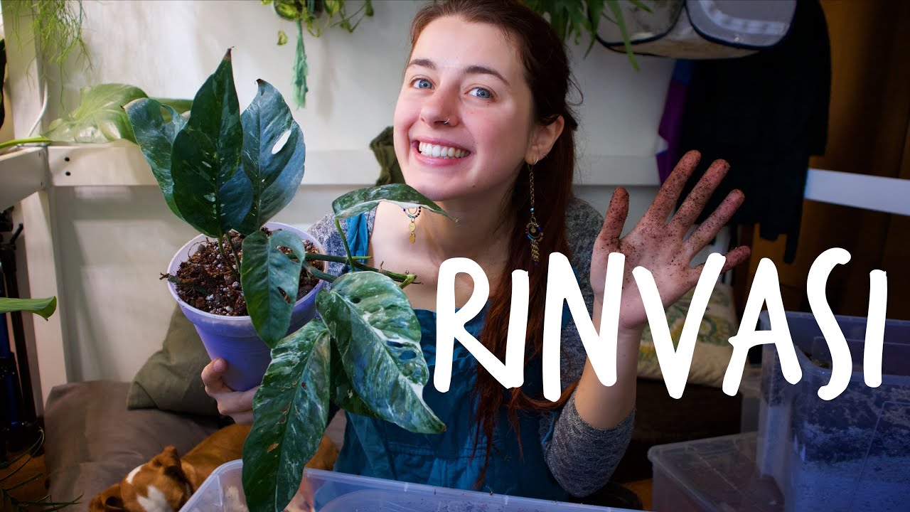 RINVASI🪴Piante e Chiacchiere #15