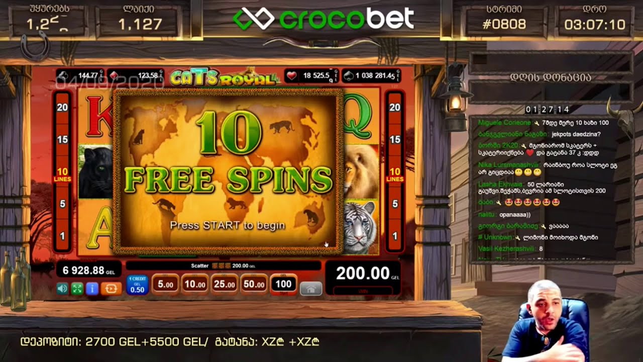 200 ლარიანი ბონუსი : Majestic Forest | CATS ROYAL | GREAT ADVENTURE + Jackpot Cards | - NetEnder -