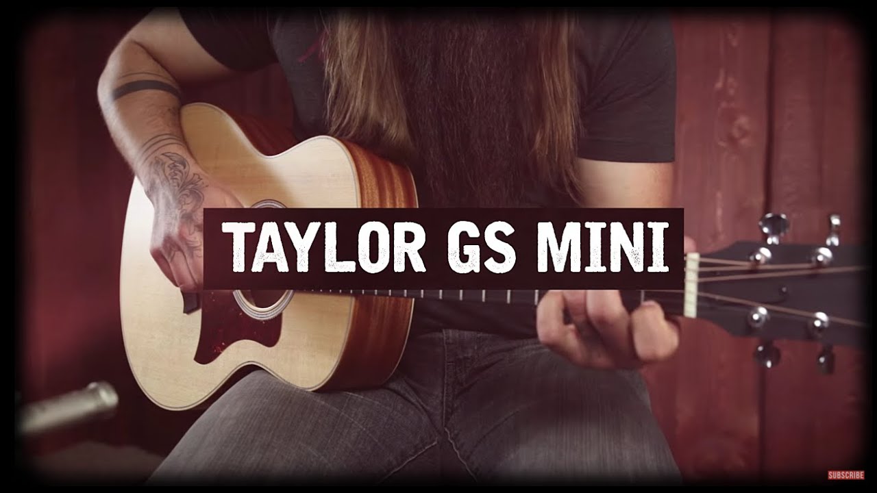 Taylor GS Mini Review