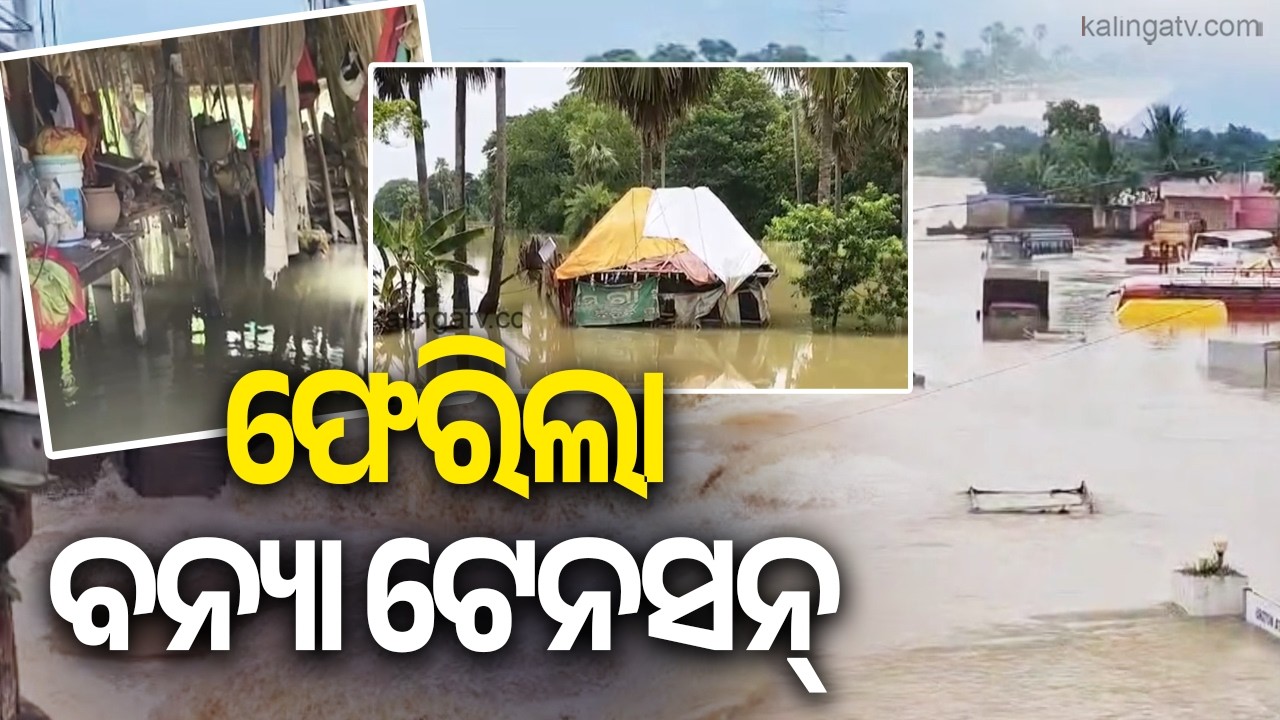 Baitarani River Rises as Heavy Rain in Upper Catchment Intensifies Flood Fears || Kalinga TV