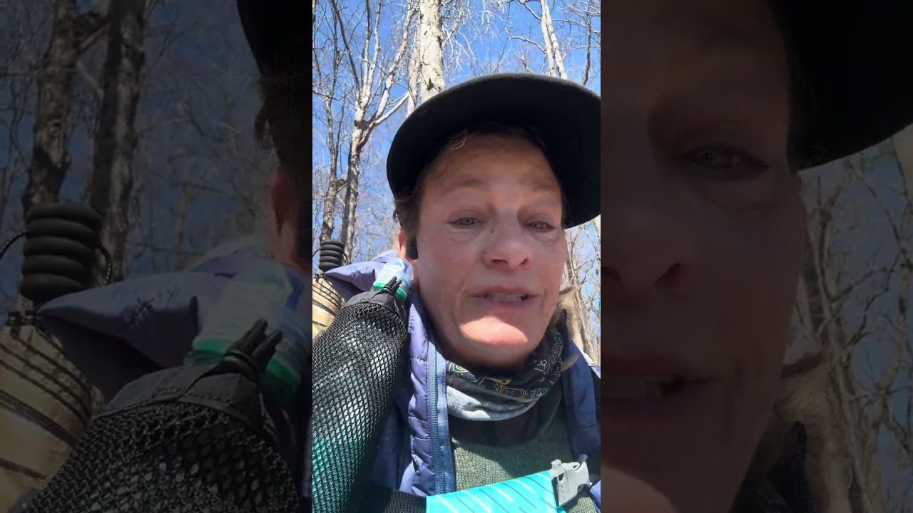 One S Day 3 Gooch Mountain Shelter to Jarrard Gap