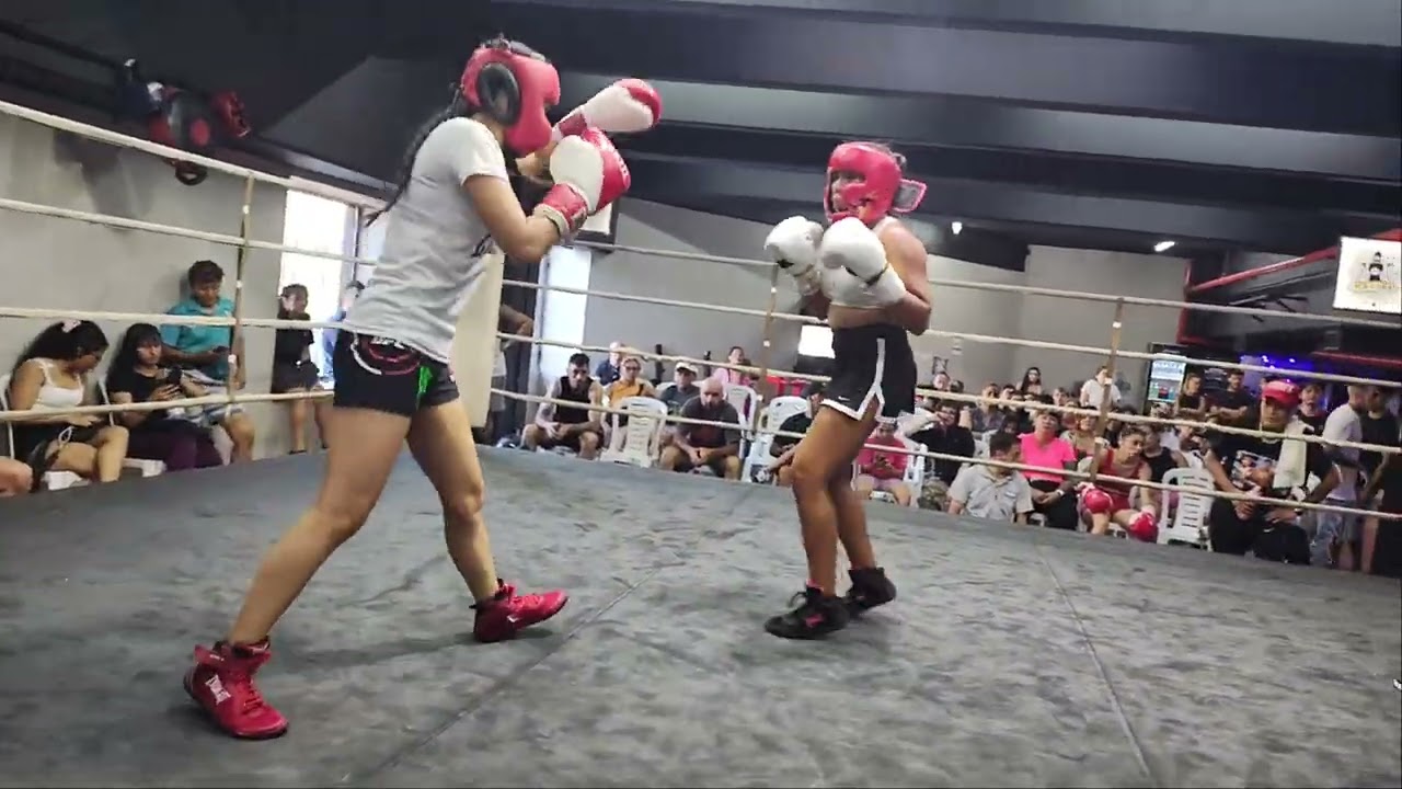 Doblete mitio la pantera