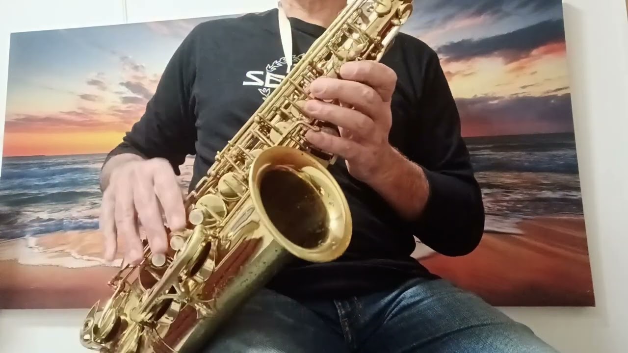 Altoselmer4674XX