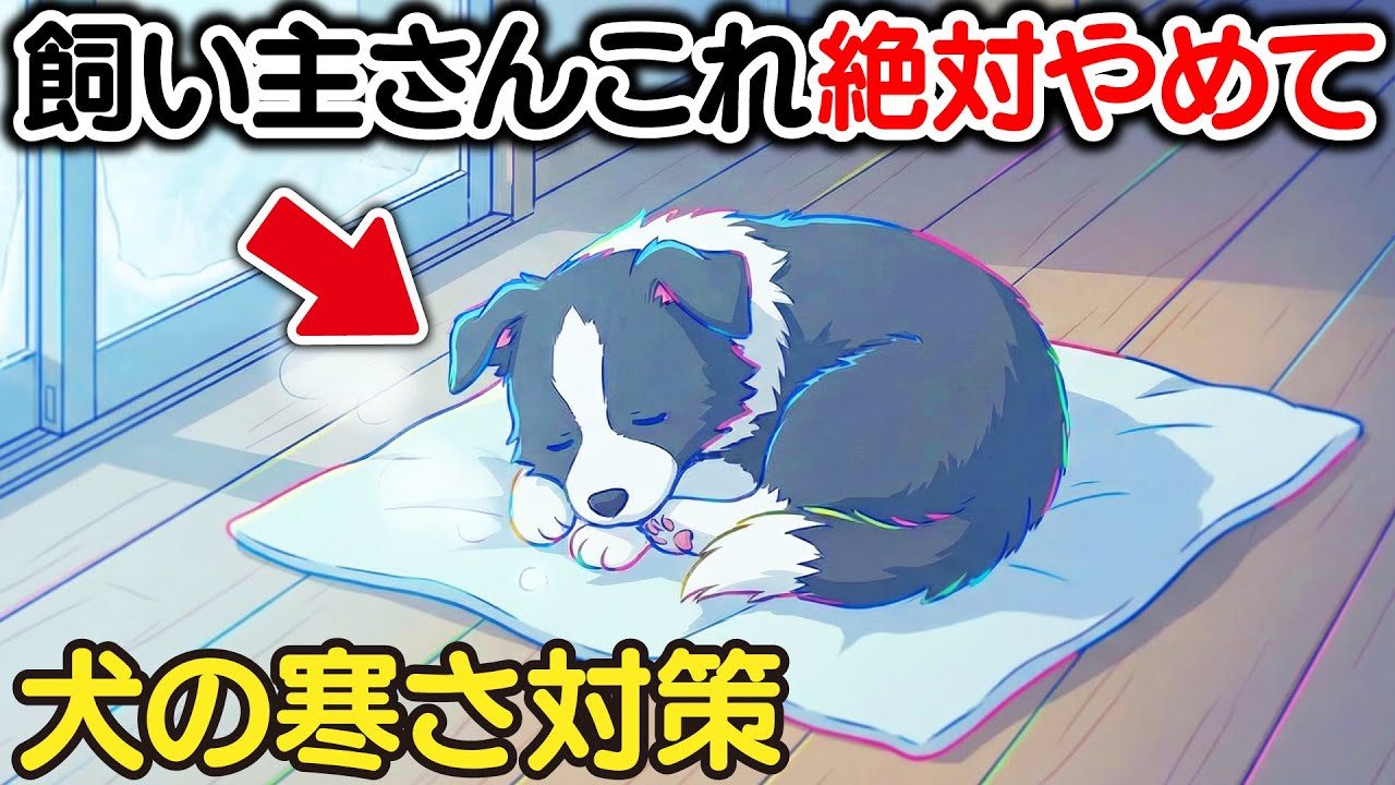 冬に飼い主がやってはいけない犬の寒さ対策【犬雑学】