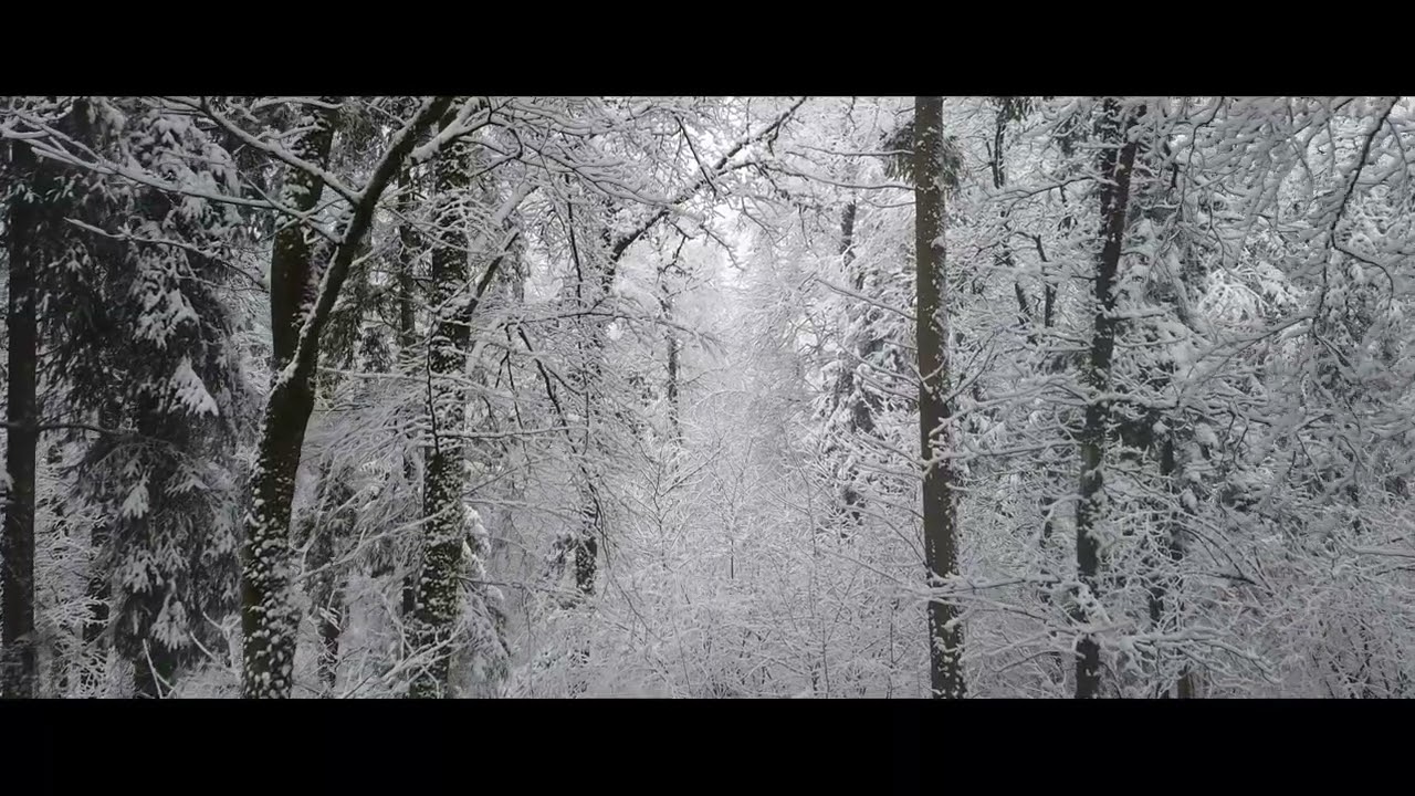 Bevor der Winter Frühling ist