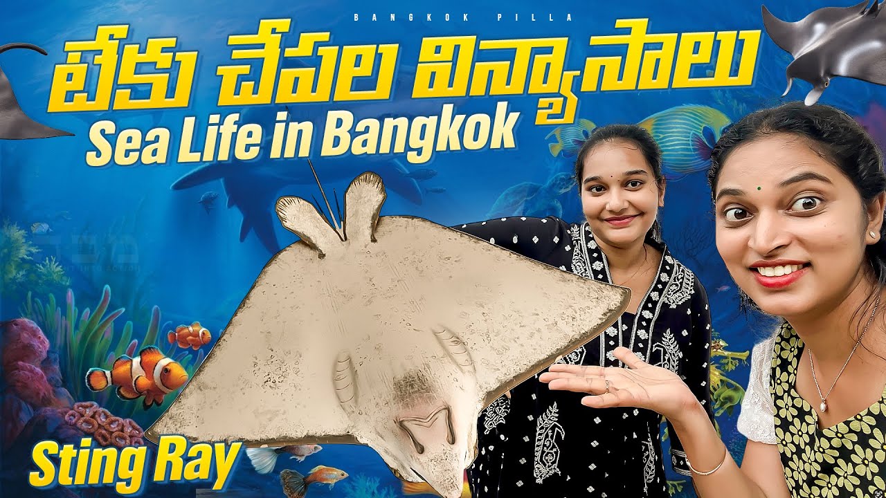 టేకు చేపల విస్యాసాలు.. Sea Life in Bangkok || Bangkok Pilla