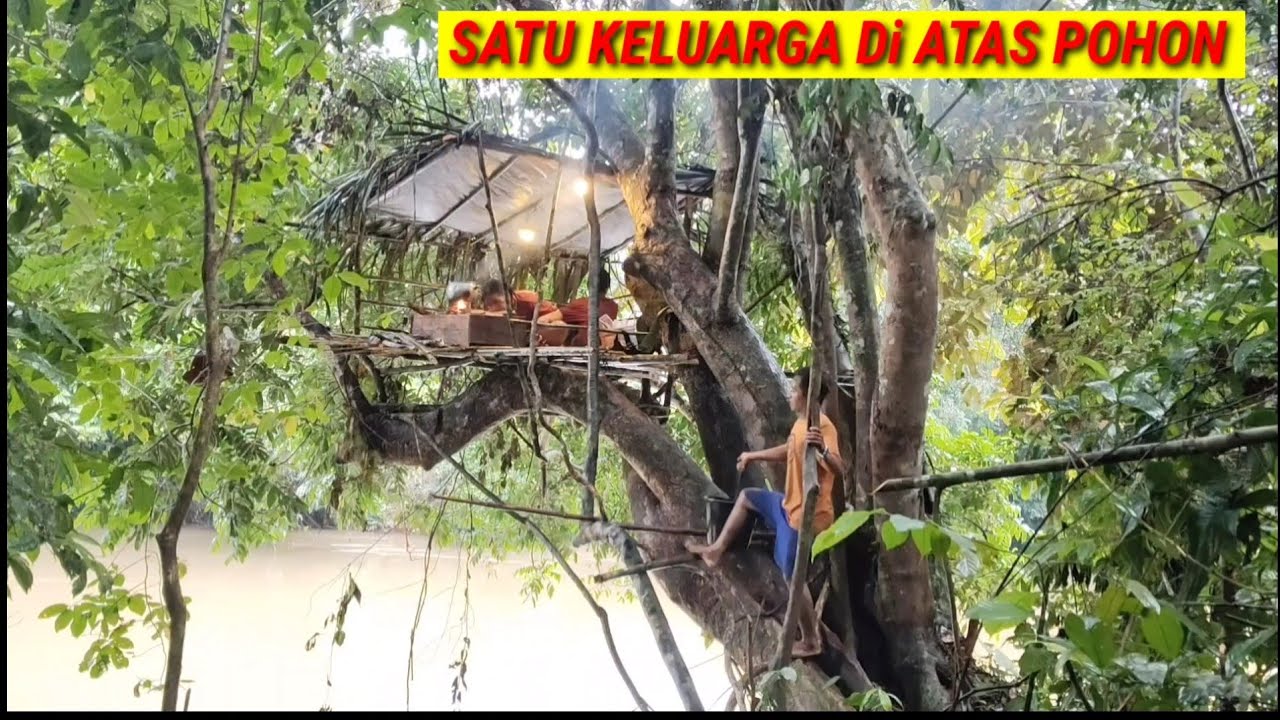 CAMPING DI GUYUR HUJAN DERAS BERSAMA ANAK DAN ISTRI TIDUR DI RUMAH POHON 