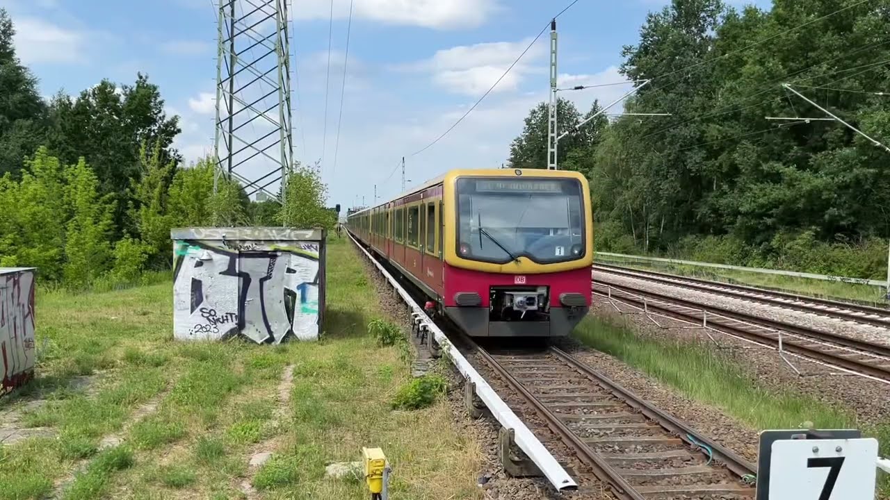 S-Bahn Berlin: Die Baureihe 481/482 auf der nördlichen S8 (Juni 2023)