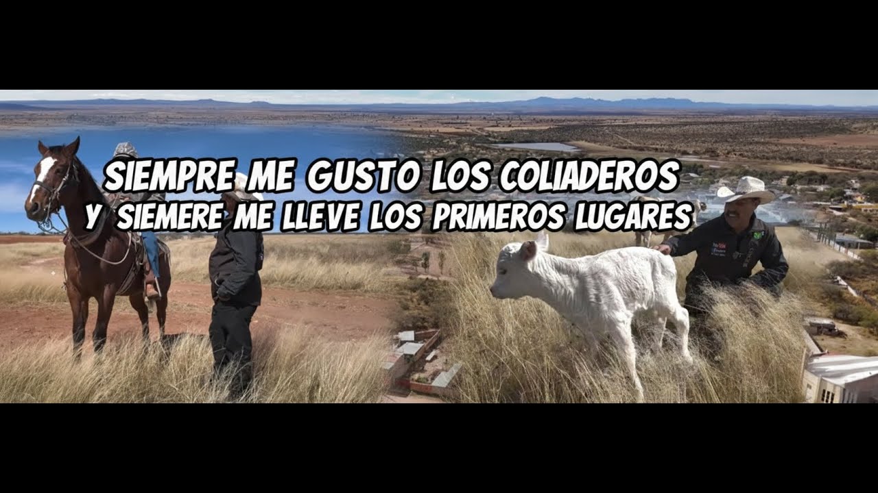 SIEMPRE ME GUSTO LOS COLIADEROS Y SIEMPRE ME LLEVE LOS PRIMEROS LUGARES