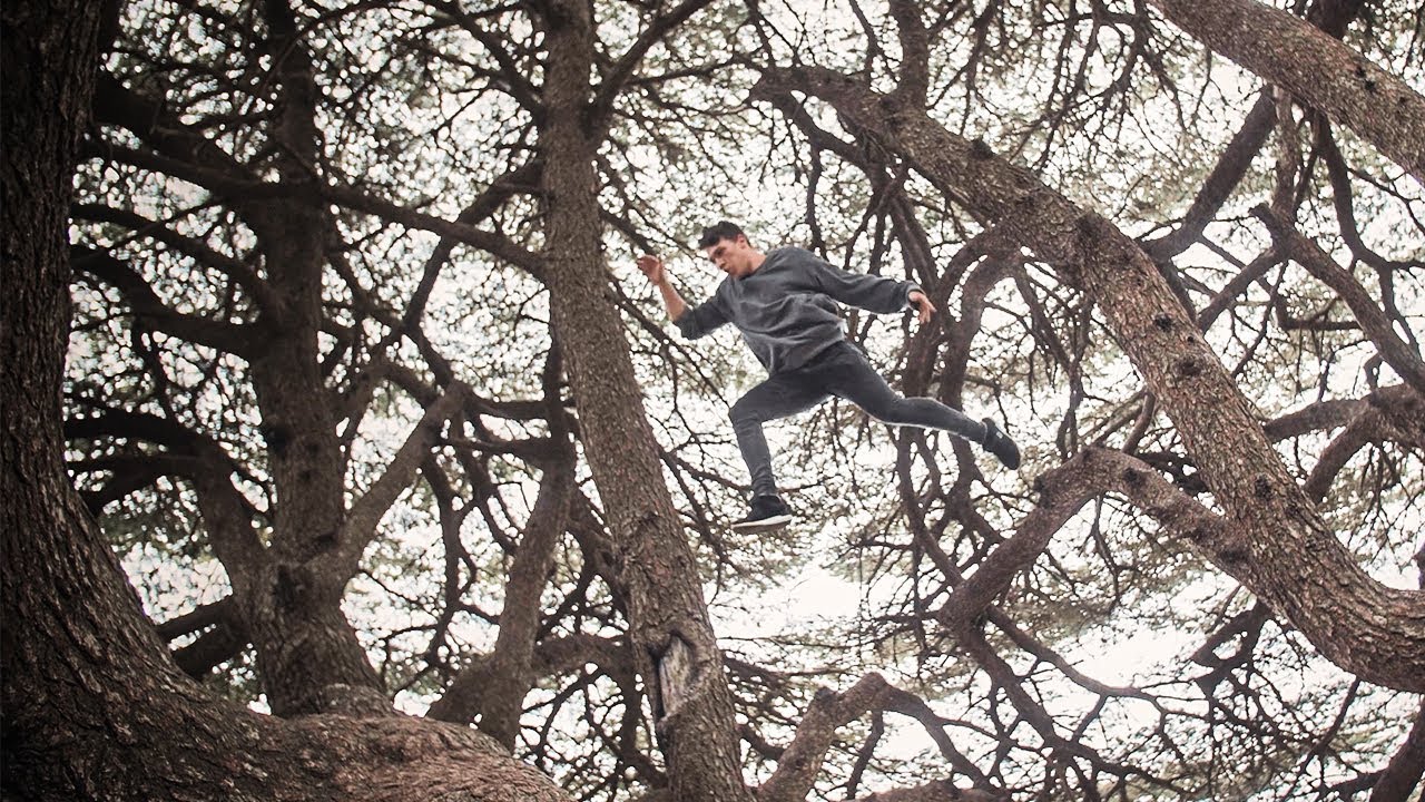 Climbing 3000 year old trees // Lebanon 3/4