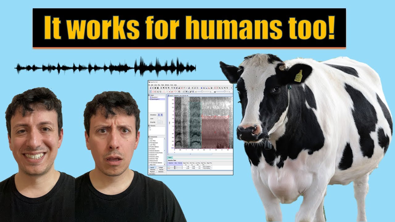 How scientists can 