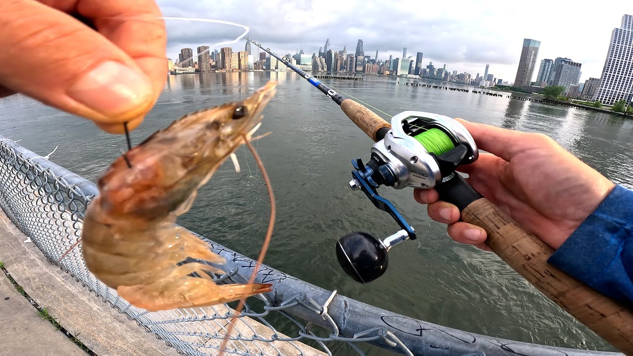 Coney Island Fishing NYC Fishing