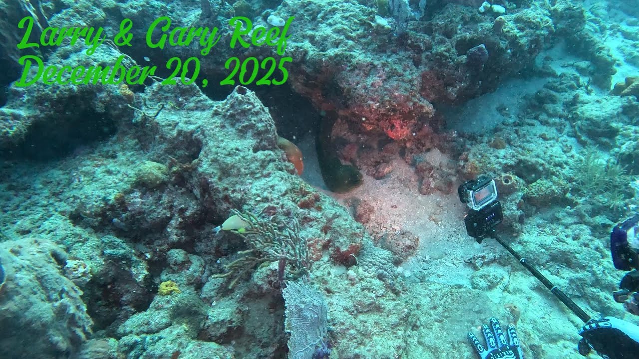 Larry & Gary Reef, December 20, 2025