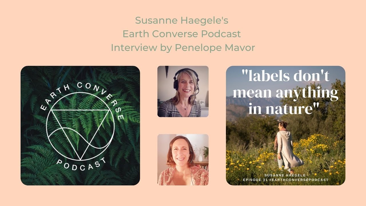 Susanne Haegele talks about her book Hormonal Harmony on Earth Converse Podcast
