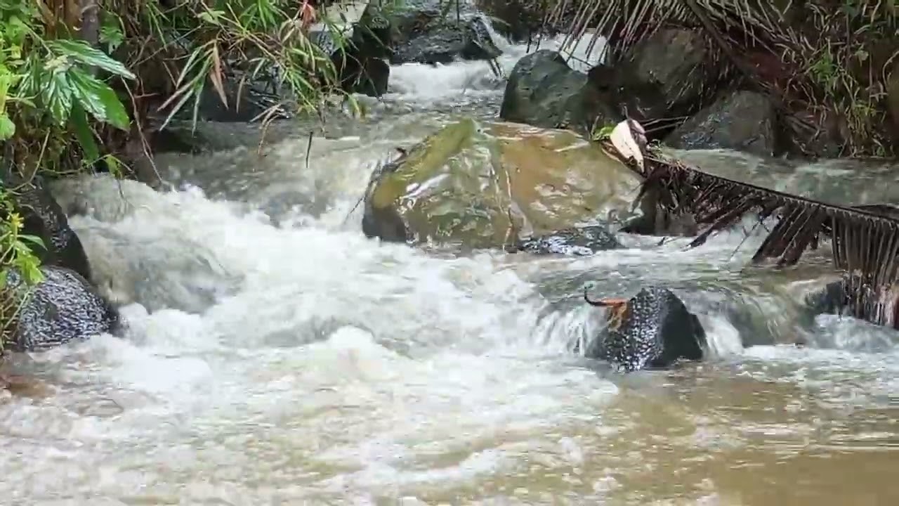 Satu jam santai air sungai mengalir deras&jernih,relaksasi bikin suasana jadi tenang