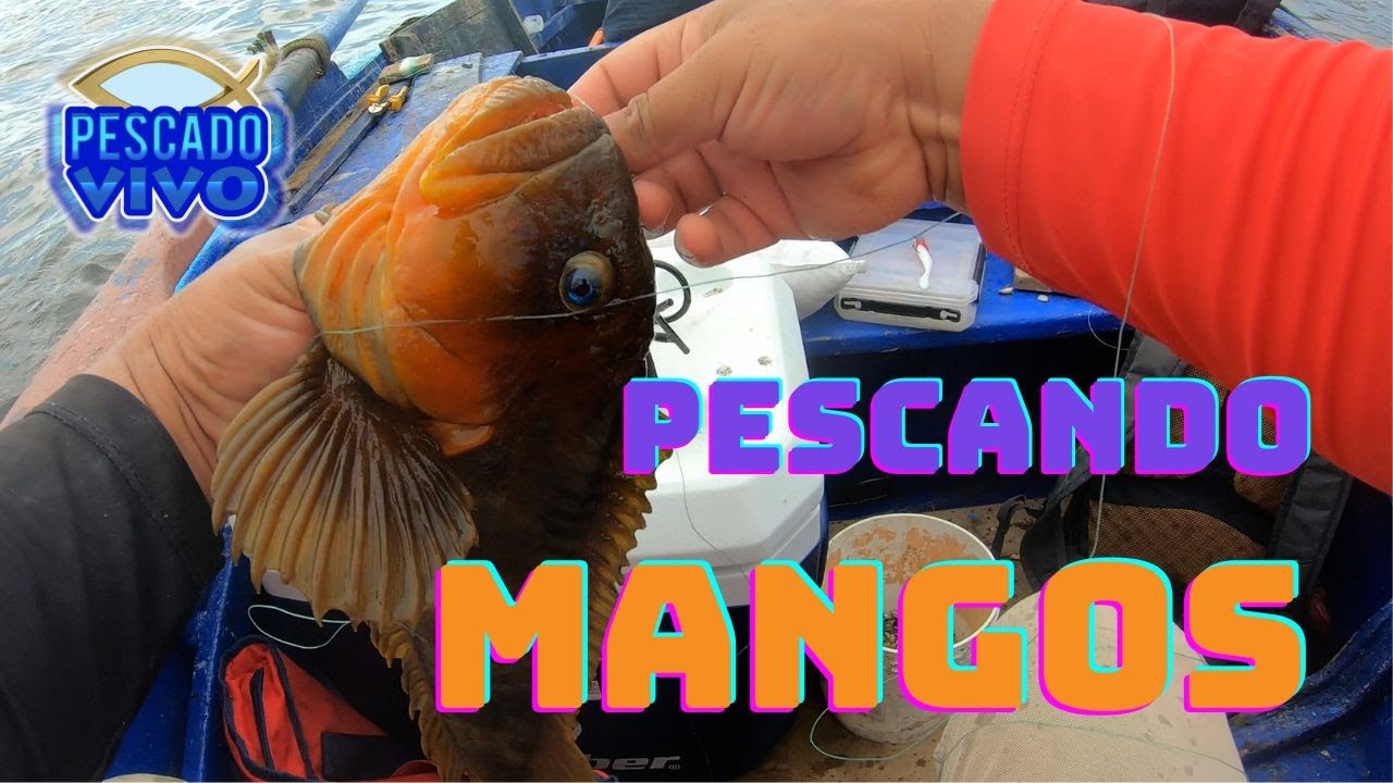 EMOCIONANTE PESCA DE TRAMBOYOS