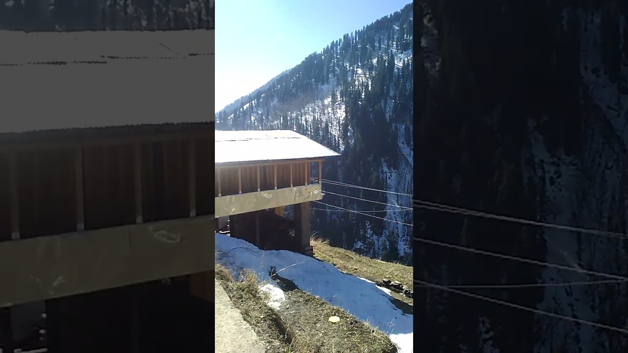 ##beauty of nature ##kullu🥰🥰🥰lag valley##😗🌲🌲🌲🌲🌲