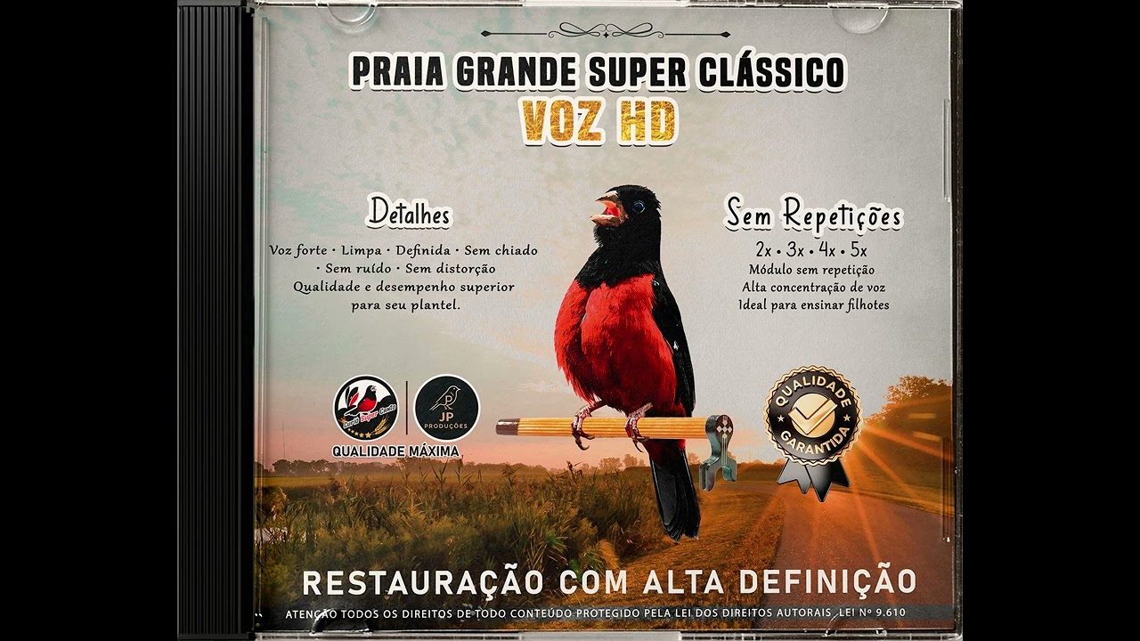 CANTO PRAIA GRANDE SUPER CLÁSSICO SUPER VOZ HD