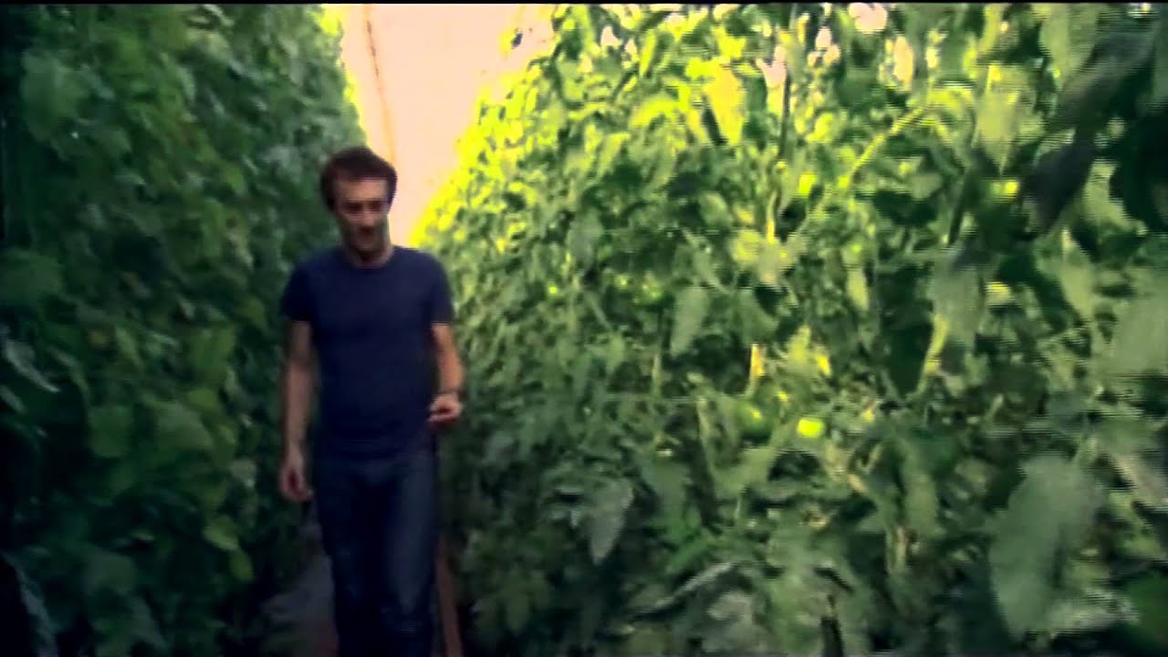 Documental de la BBC (sub. español)