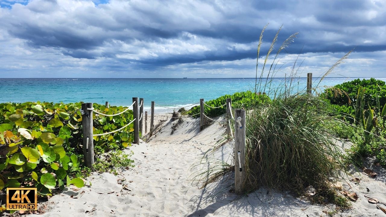 Tropical Beach 🌊 Ambient Music & Ocean Sounds 🌊 Nature Relaxation