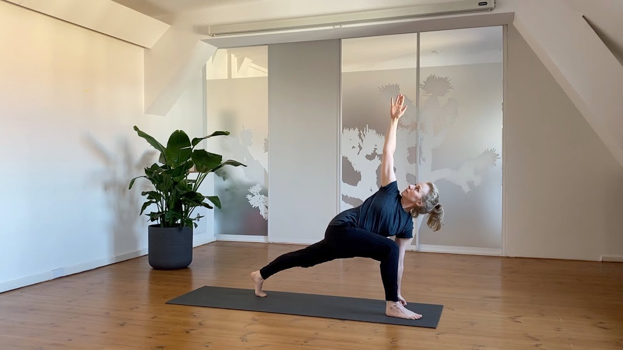 Vinyasa Basic Praxis - Die Yogapraxis Berlin
