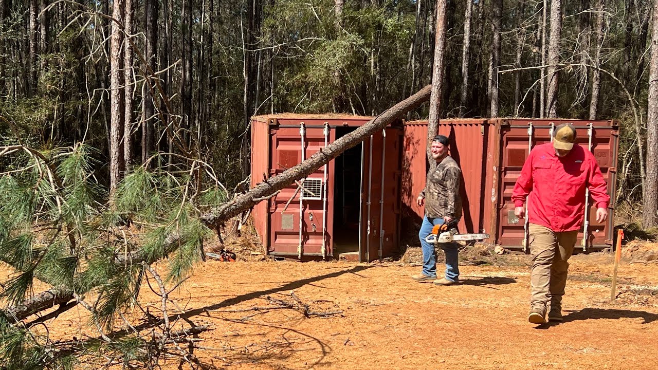 Chainsaw Tree Felling Fails