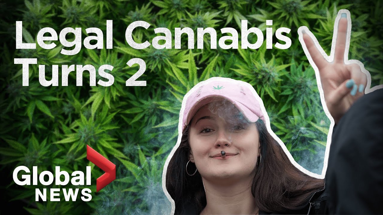 More Canadians buying legal cannabis as marijuana industry turns two