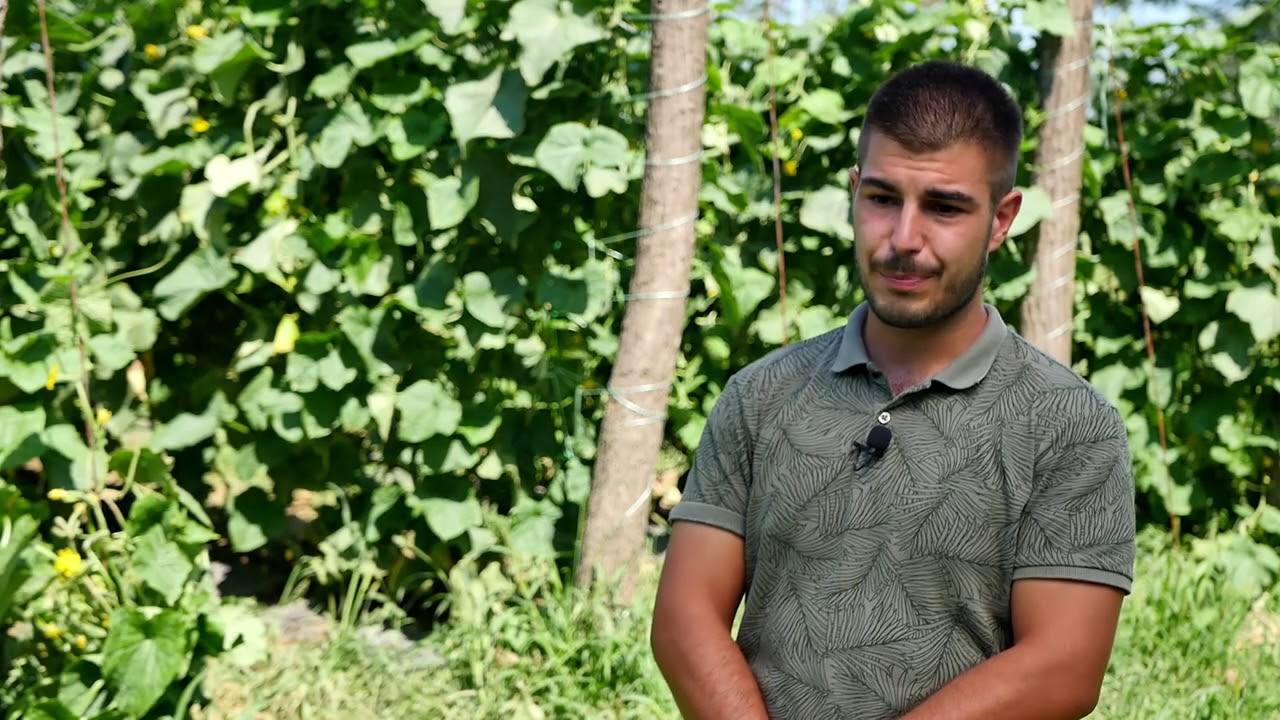 Naša priča ep. 262 27.08.2020. Proizvodnja kornišona, Čačak