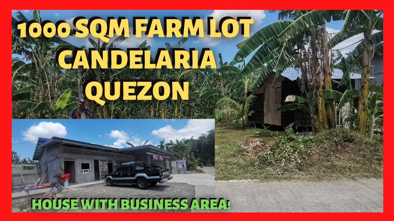 1000 sqm Mini Farm with Kubo and House Candelaria Quezon (Lot Code: 2309)
