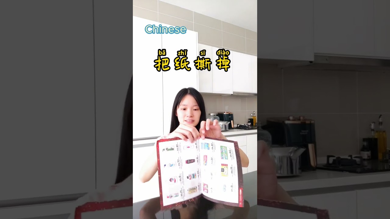 Formal Chinese vs Malaysian Chinese