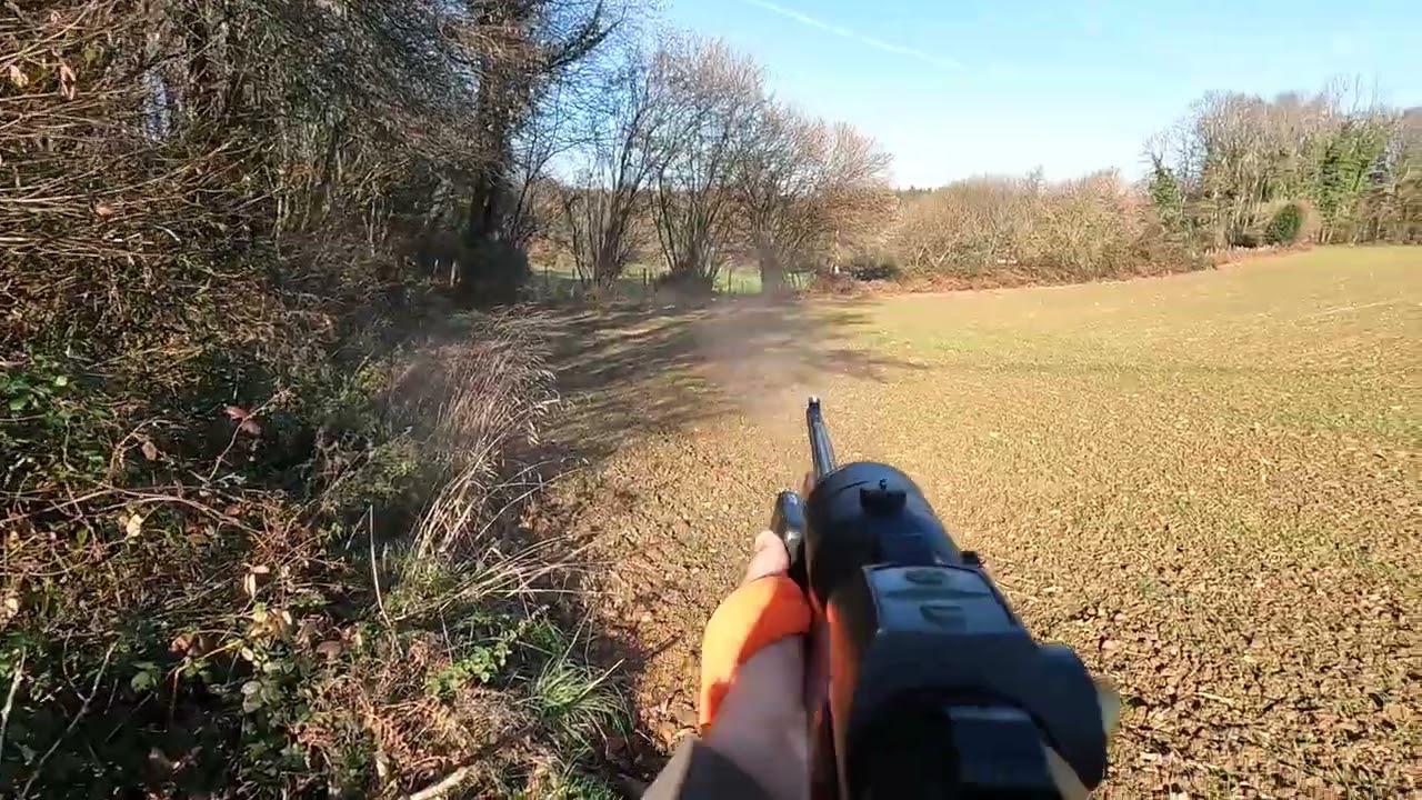 Sanglier 70 kg