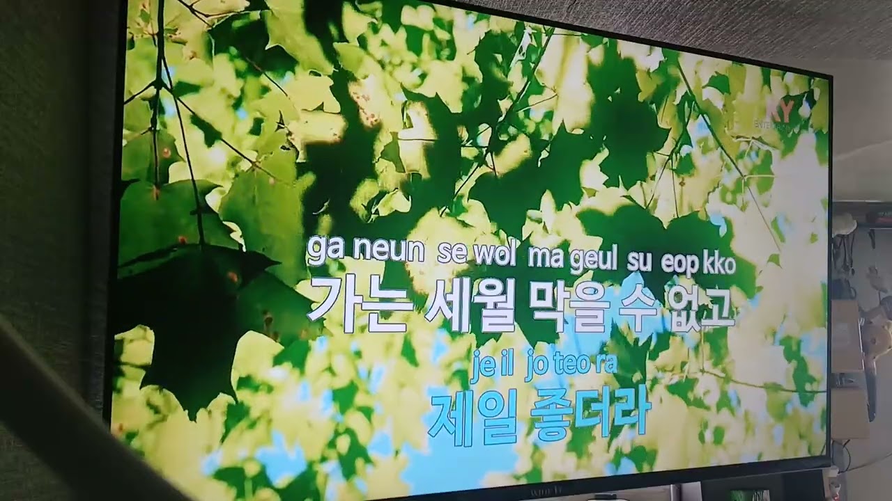 #언제벌써 #애창곡 #좋아요 