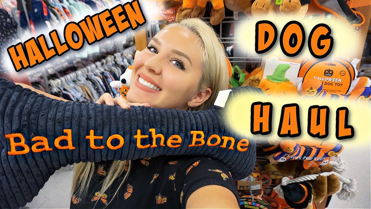 HALLOWEEN Dog Shopping Haul: Toys, Costumes, Treats, Accessories