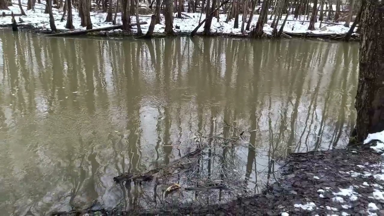 #ПрироданаЮтуб#NatureonYouTube#NaturalezaenYouTube#NaturesurYouTube#NaturezanoYouTube#AlamdiYouTube