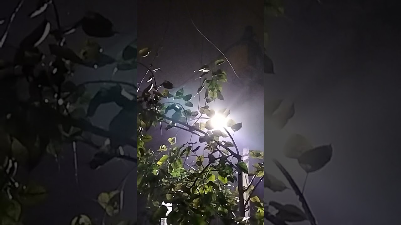 Winter Rain In Delhi 🌧️🌧️